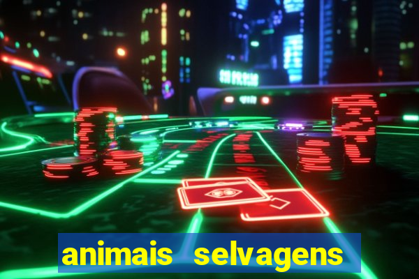 animais selvagens fotos e nomes